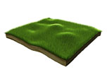 用Cinema 4D绘制三维草坪