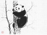 《远眺》M-Brush大熊猫创作教程